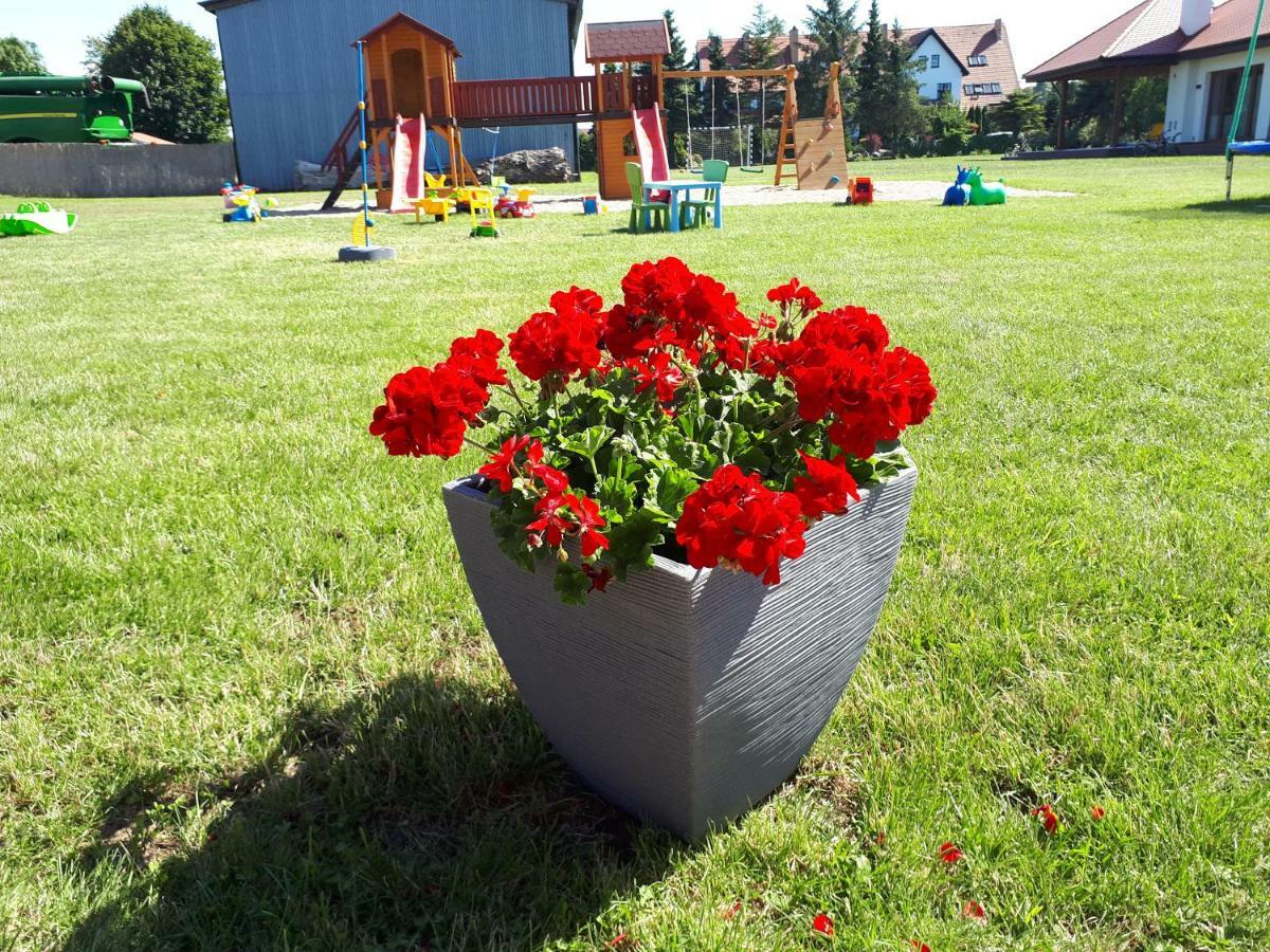 Domki Letniskowe Rekinek Darlowo Bagian luar foto